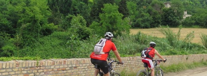 mountain bike