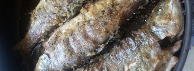 trote gratinate