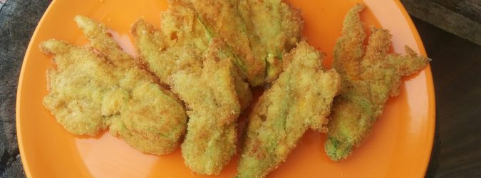fiori zucca ripieni