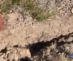 terremoto monte vettore faglia