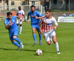 vastese monticelli