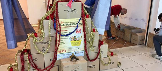 colletta alimentare 2016