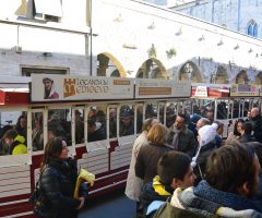 tour trenino giocamondo