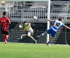 Calcio Dilettanti Marche