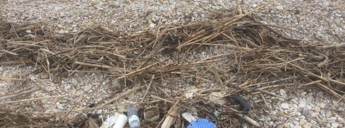 beach litter