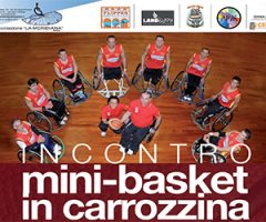 mini basket in carrozzina