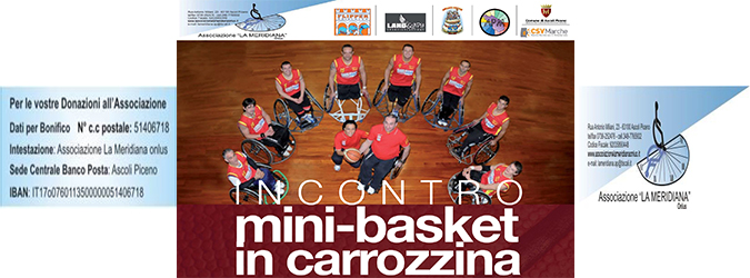 mini basket in carrozzina