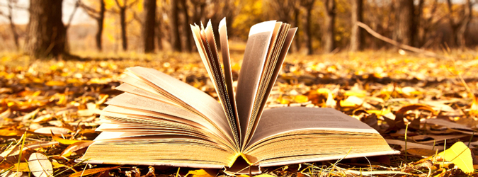 libri di san martino