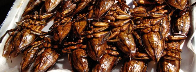 street food strani