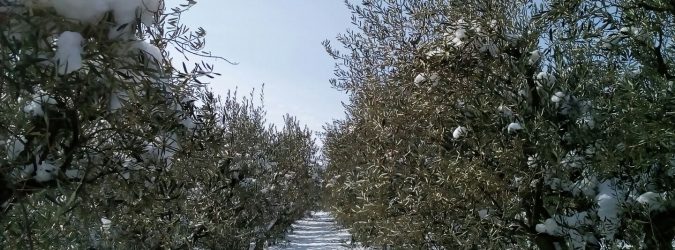 emergenza neve