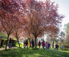 ascoli news