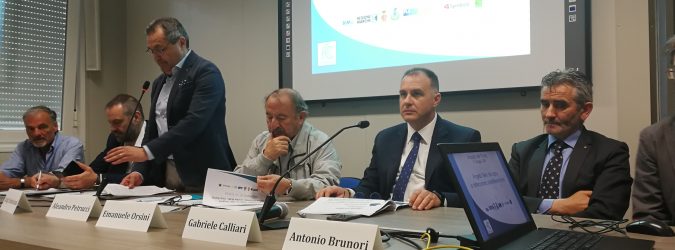 filiera del legno bim tronto