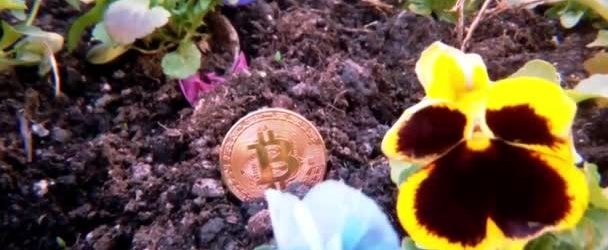 criptomoneta