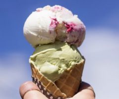 gelato vegano