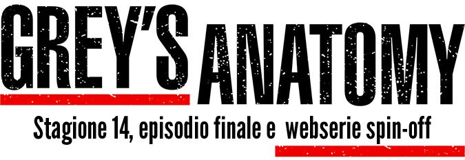 grey's anatomy 14