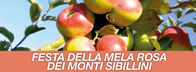mela rosa montedinove- festival dell'Appennino 2018