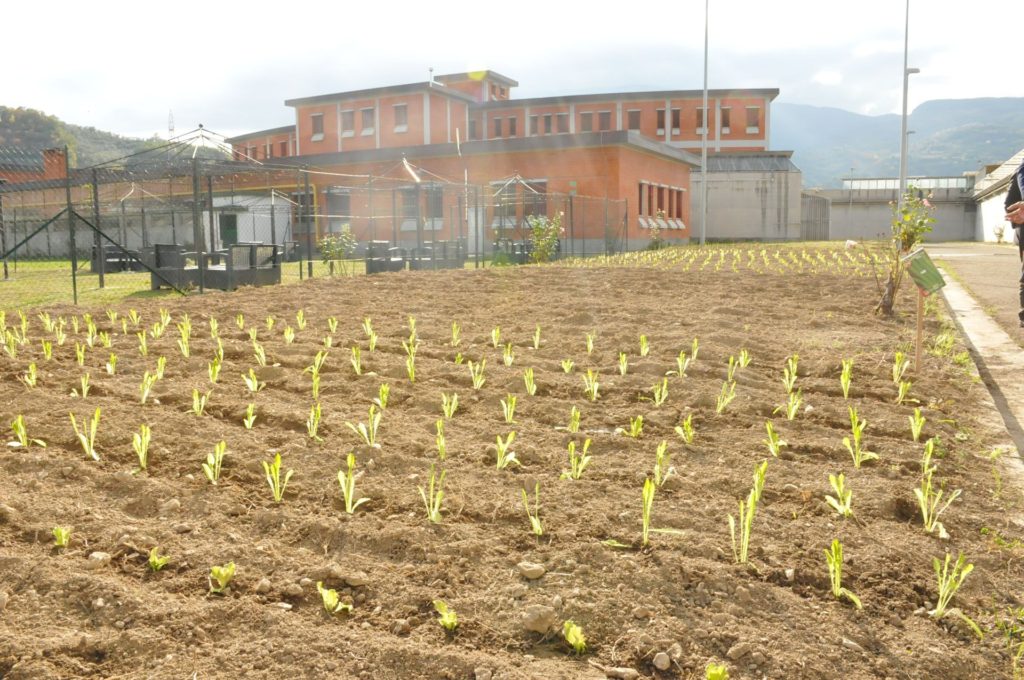 orto sociale in carcere