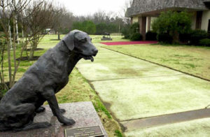 museo del cane