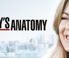 grey's anatomy 15