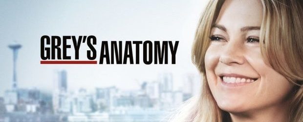 grey's anatomy 15