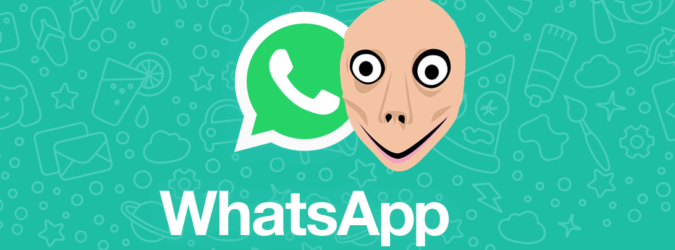 momo whatsapp