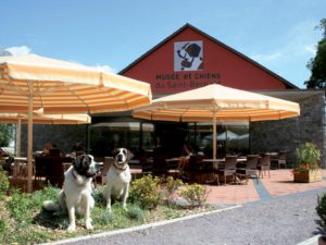 museo del cane
