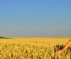 giovani agricoltori marche