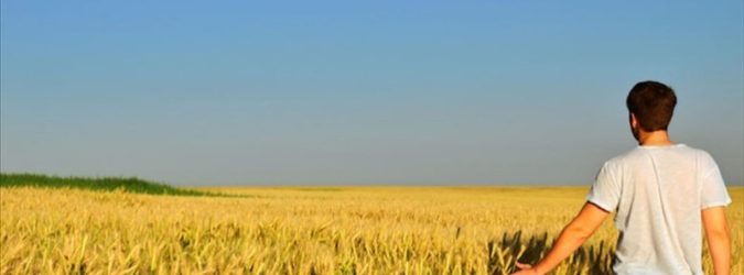 giovani agricoltori marche
