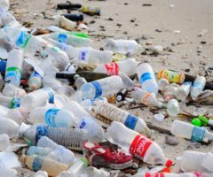 Beach Litter Legambiente 2019