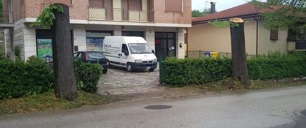 Tigli a Roccafluvione