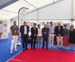 International Motor Days