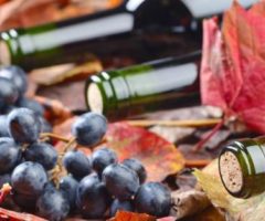 Coldiretti Marche, Vendemmia 2019