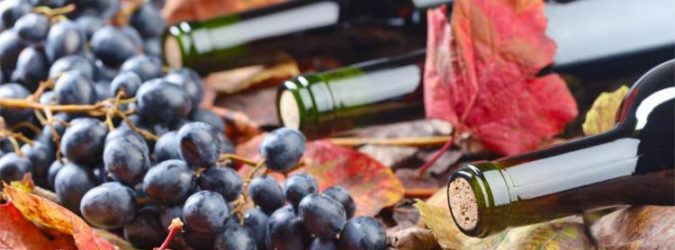 Coldiretti Marche, Vendemmia 2019