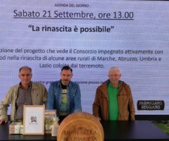 favalanciata consorzio parmigiano reggiano