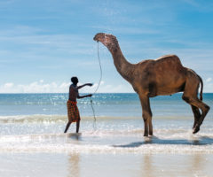 viaggio in Kenya