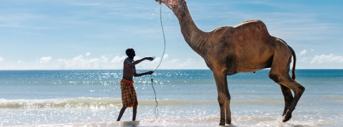 viaggio in Kenya