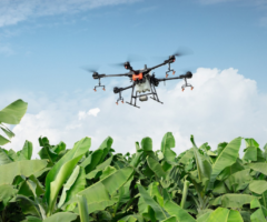 droni agricoltura