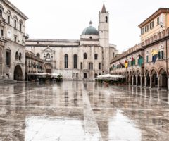 ascoli