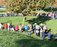 Legambiente, Festa dell'albero