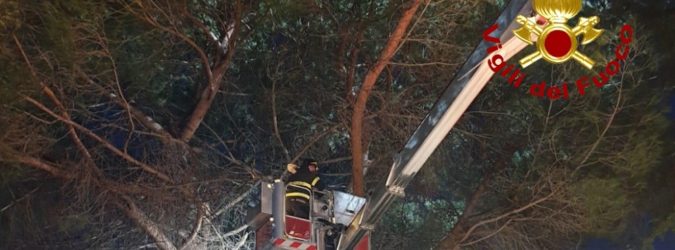 Vigili del Fuoco Marche