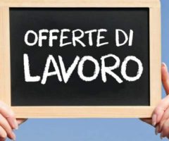 lavoro ascoli ciip