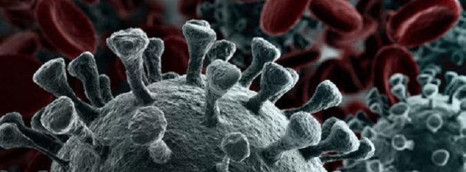Coronavirus Marche