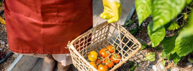 Agroalimentare