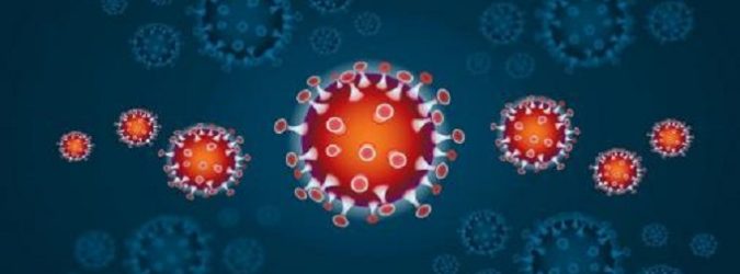 Coronavirus Ascoli