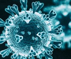 Coronavirus