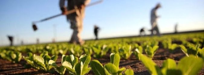 Coronavirus e agricoltura