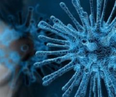 Coronavirus Marche