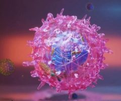 Coronavirus fasi 2 e 3