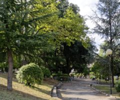 Ascoli Green