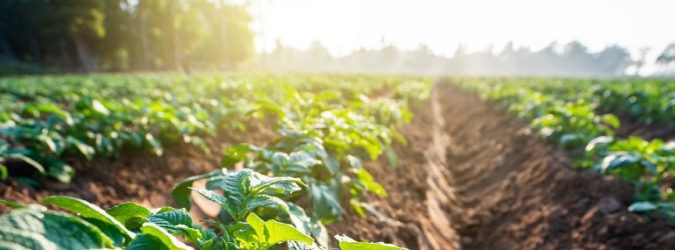 Agricoltura e Coronavirus